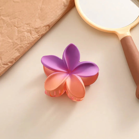 Gradient Color Block Hair Clip Hair Accessories