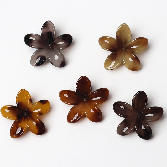 Shades of Brown Plumeria Hair Claw