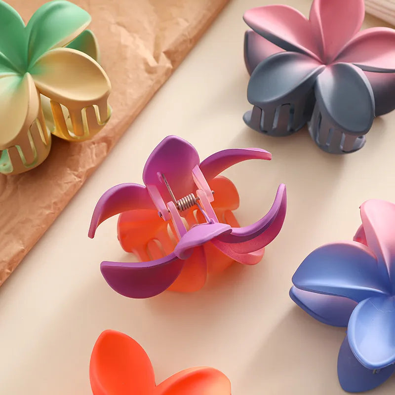 Gradient Color Block Hair Clip Hair Accessories
