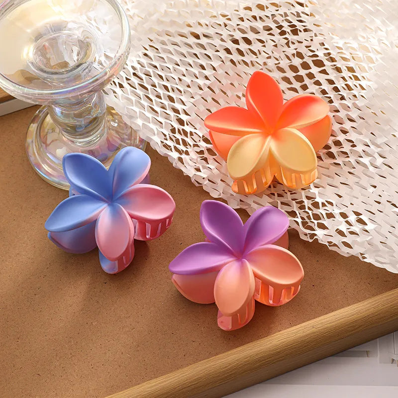 Gradient Color Block Hair Clip Hair Accessories