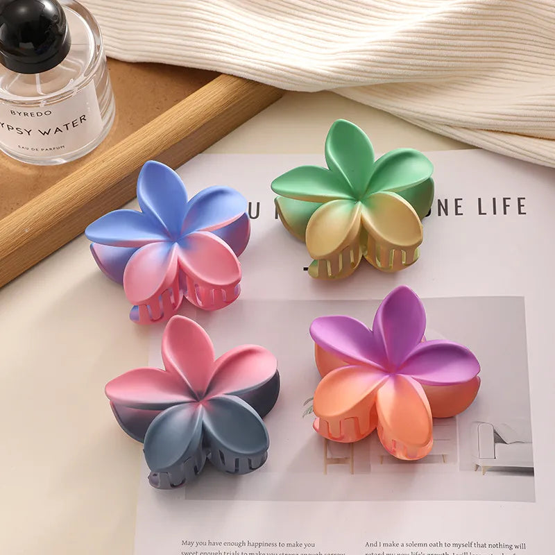 Gradient Color Block Hair Clip Hair Accessories