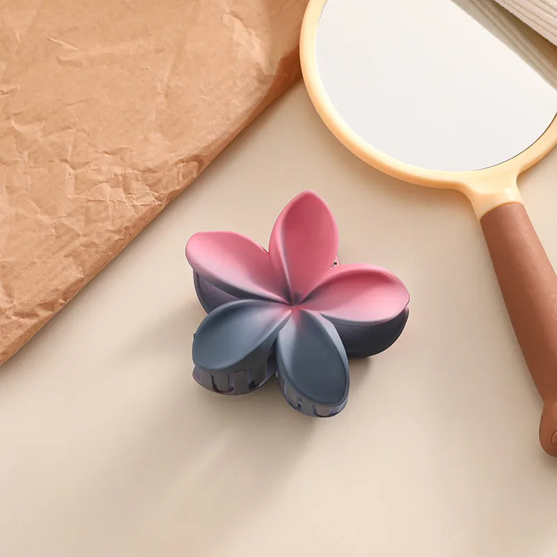 Gradient Color Block Hair Clip Hair Accessories