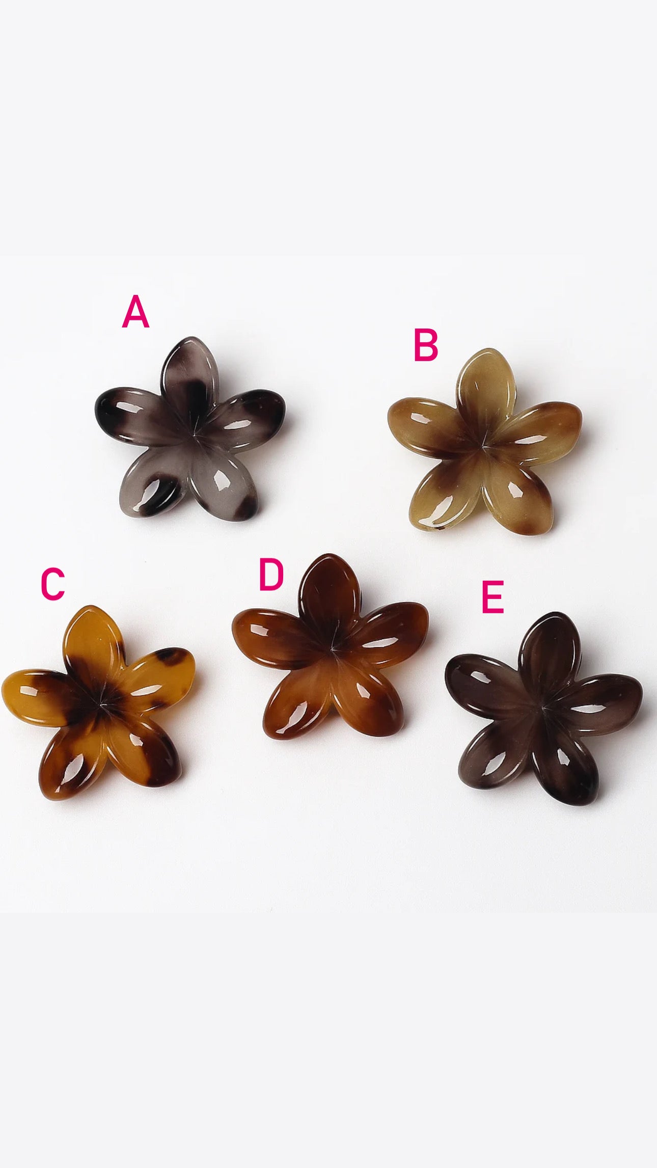 Shades of Brown Plumeria Hair Claw