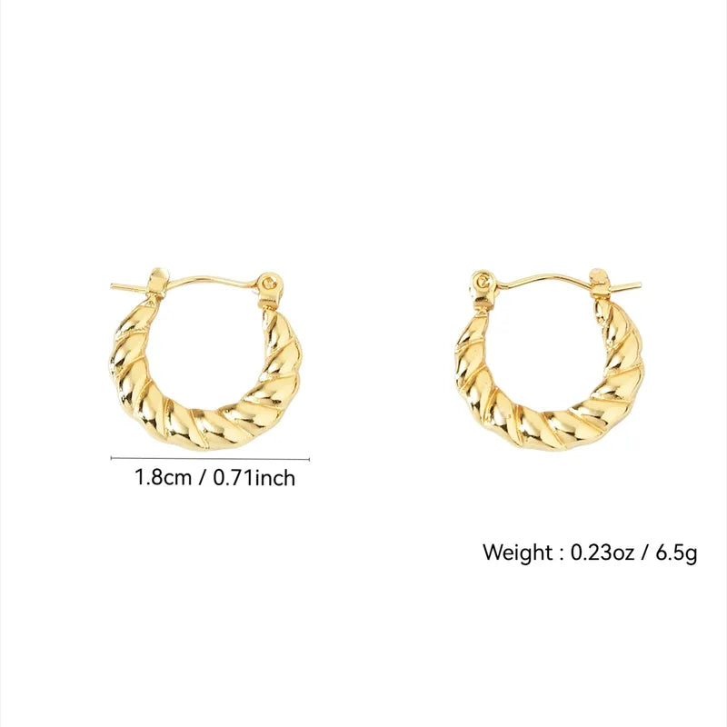 Irregular Shaped 18K Gold Plated 304 Stainless Steel Hoop/Stud Hoop Earrings