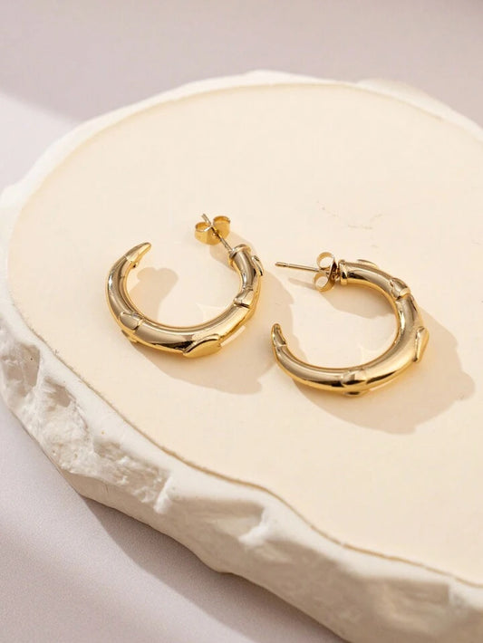 Carved Turns 18K Gold Plated and Stainless Steel Earrings