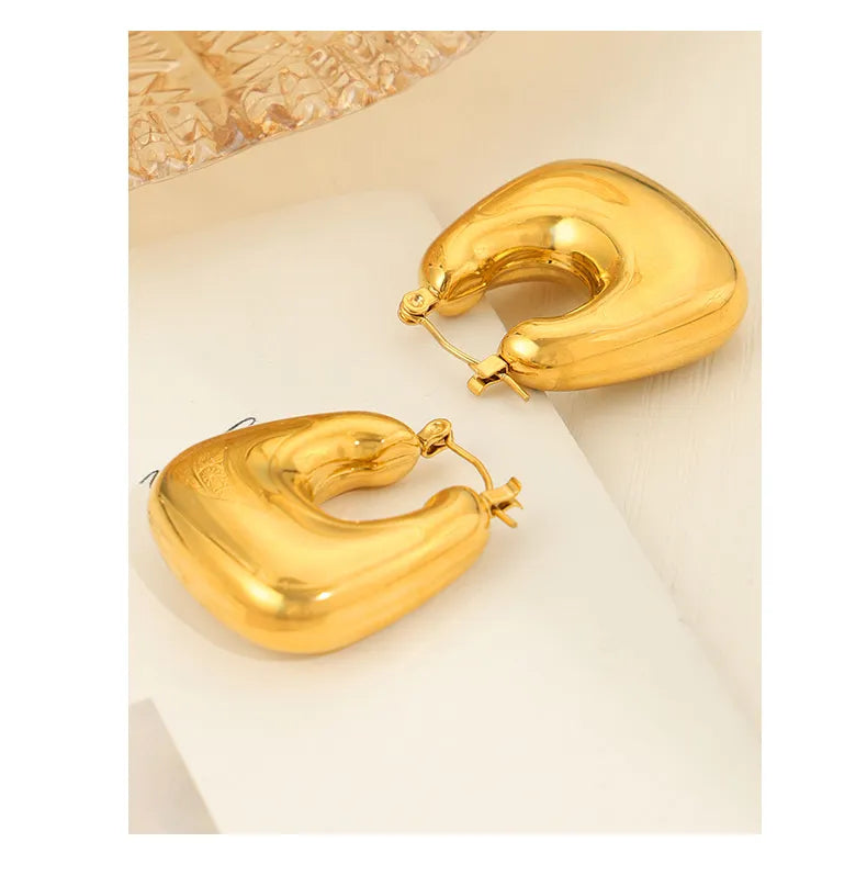 Casual Elegant Simple Style Bag Titanium Steel 18K Gold Plated Earrings