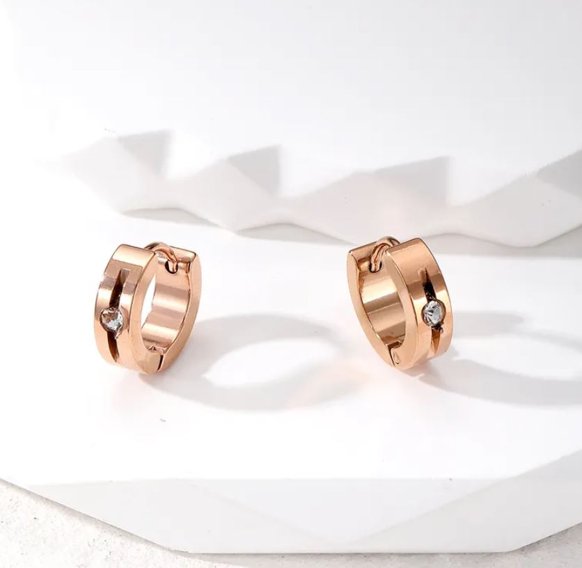 Rose Gold with Diamond Round Stainless Steel Earrings